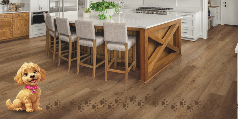 Blog - Spring into Clean, cozy floors-800x400